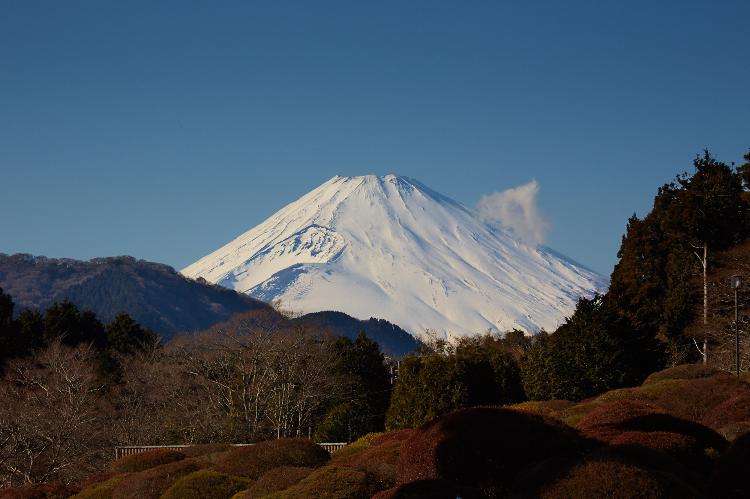 冬の富士山