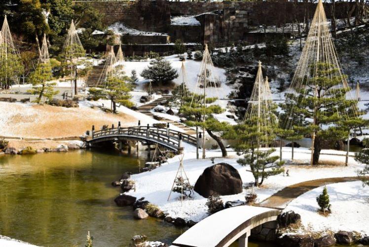 兼六園の雪吊り（ハイアット ハウス 金沢）