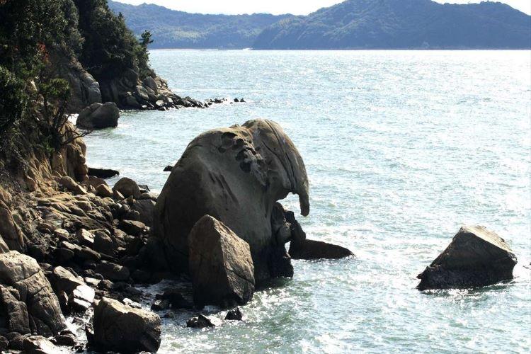 写真提供：岡山県観光連盟