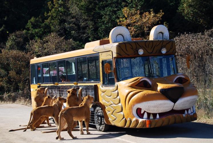美祢市の秋吉台サファリランドは当館から約1時間ほどの距離にございます。