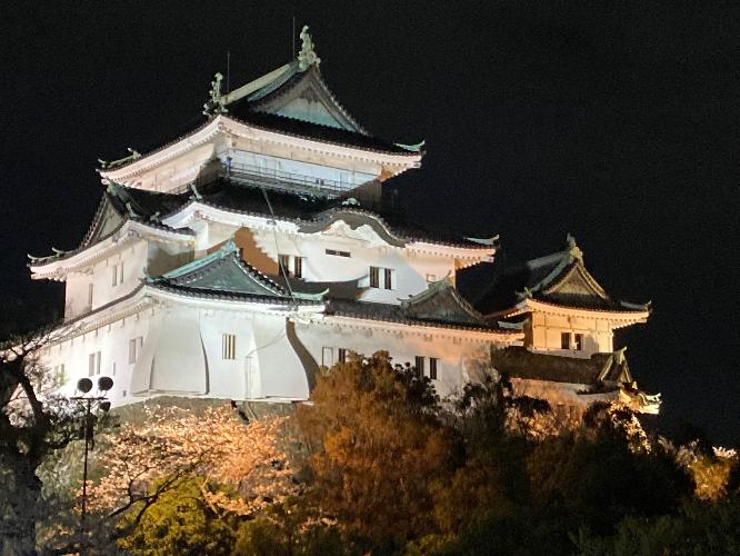 和歌山城　夜　ホテルの目の前にございます