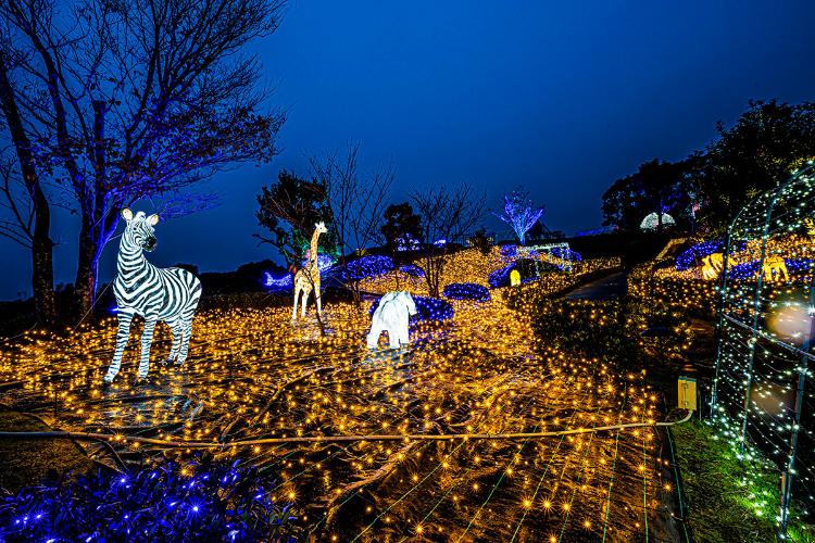 ・光の楽園「イルミナスオーシャン」
