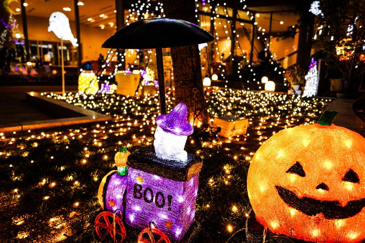 ・期期間限★ハロウィン仕様