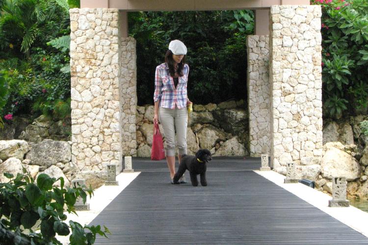 【＜愛犬ルーム＞プールヴィララグーンスイート（1F指定）】沖縄・宮古島で、愛犬と至福のリゾートステイを。