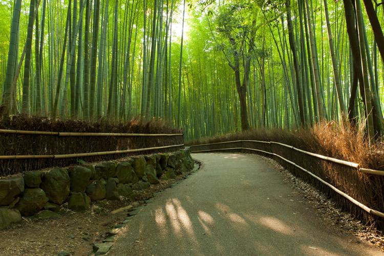 嵐山