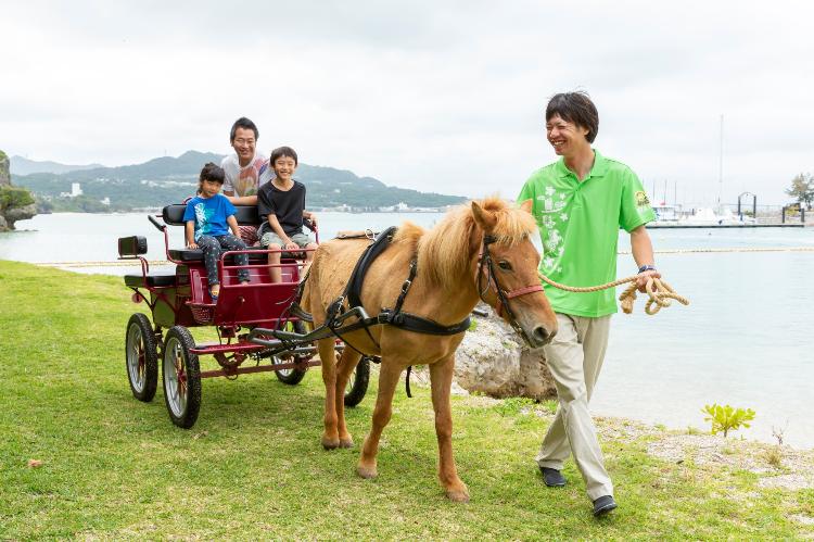 与那国馬の馬車