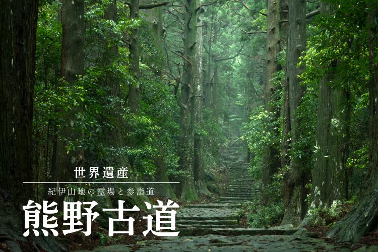 熊野古道(滝尻王子)まで車で40分！観光の拠点に最適！
