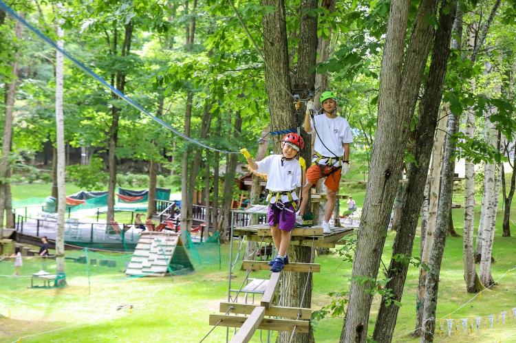 【ツリーアドベンチャー富良野】<BR>さあ、空中探検に出かけよう！（グリーンシーズン営業）