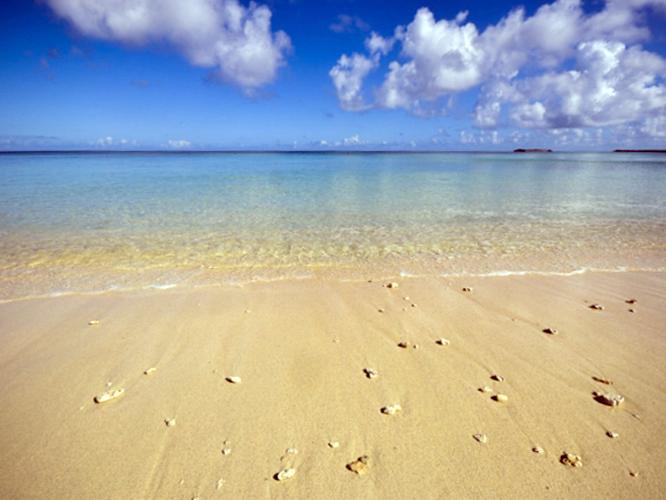 【周辺景観】マリンブルーの美しい海はダイバーにも人気です