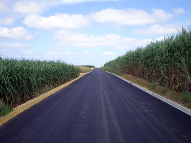 【周辺景観】両脇に茂るサトウキビ畑の景観も美しいです