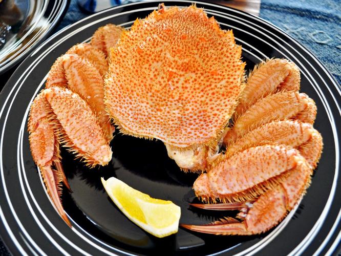 【(枝幸プラン)夕食一例】枝幸産毛ガニがまるごと付いてます！