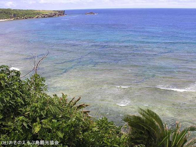 【周辺観光】「ウミガメビューポイント」　無料の双眼鏡が設置されております