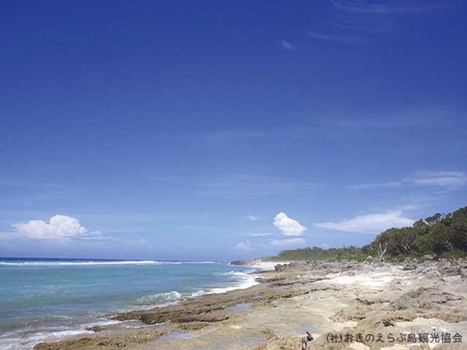 【周辺観光】「ビーチロック」　海浜堆積物が固まってできた板状の砂礫岩が特徴です