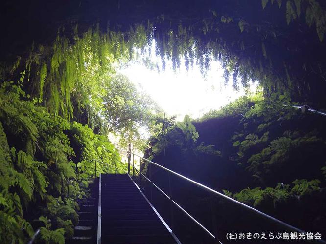 【周辺観光】「暗川・高倉」　石灰質の洞窟にある水の流れる水源です