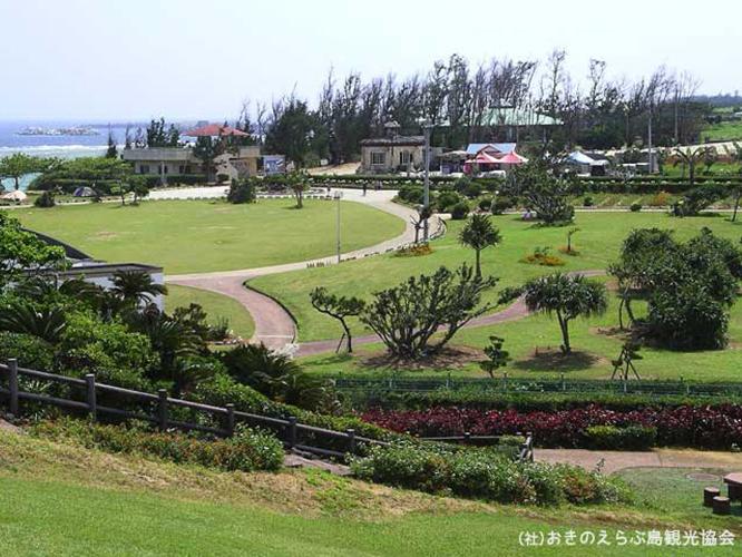 【周辺観光】「笠石海浜公園」　映画『エラブの海』のロケ地でもあります