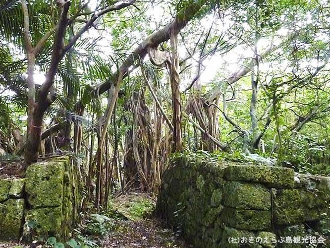 【周辺観光】「後蘭孫八城跡」　世之主に仕えた四天王の一人、後蘭孫八の城跡です