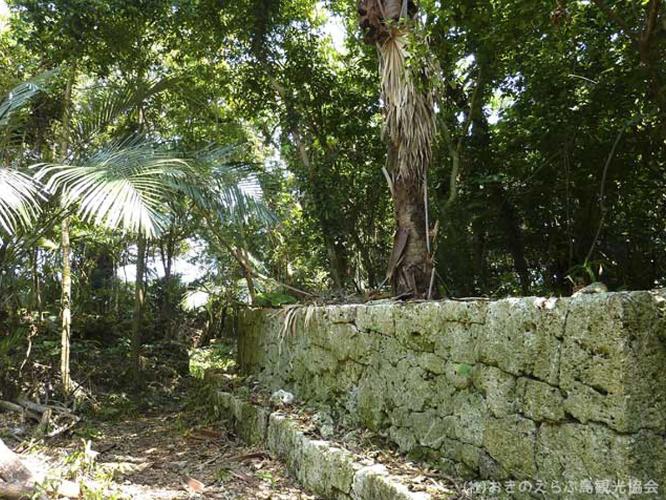 【周辺観光】「後蘭孫八城跡」　石垣や自然石や巨木が醸しだす世界は島のパワースポットのひとつです