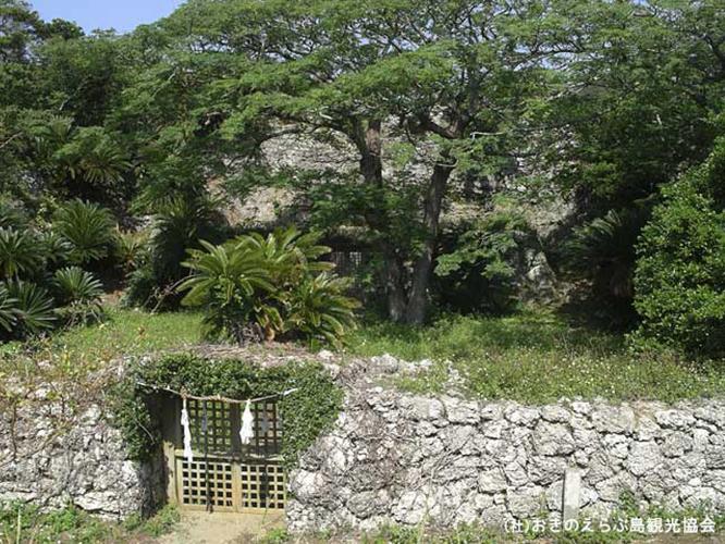 【周辺観光】「世之主の墓」　15世紀の島主の琉球式墓です