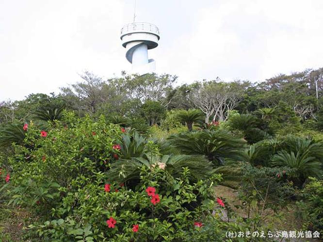 【周辺観光】「大山植物公園・展望台」　標高240ｍ近くにある展望台で島を一望できます