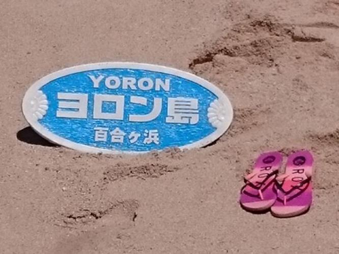 大金久海岸の百合ケ浜