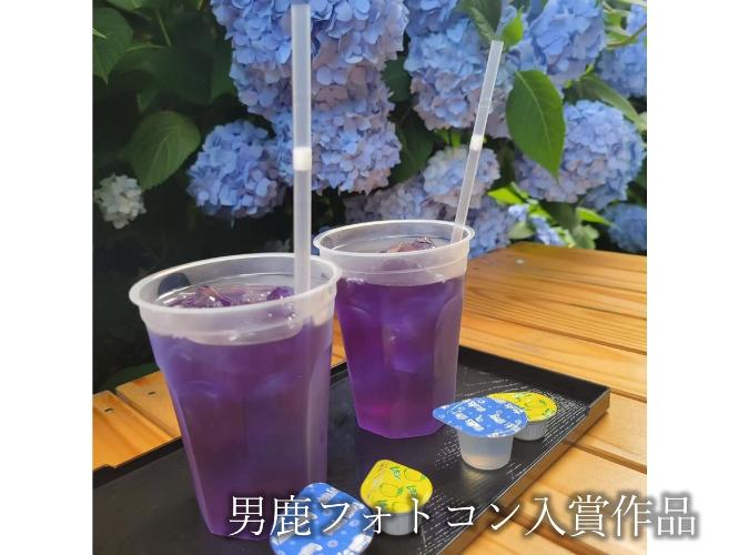グルメ【男鹿フォトコン入賞作品】　雲昌寺に併設のカフェ　あじさいカフェ「変身あじさいティー」
