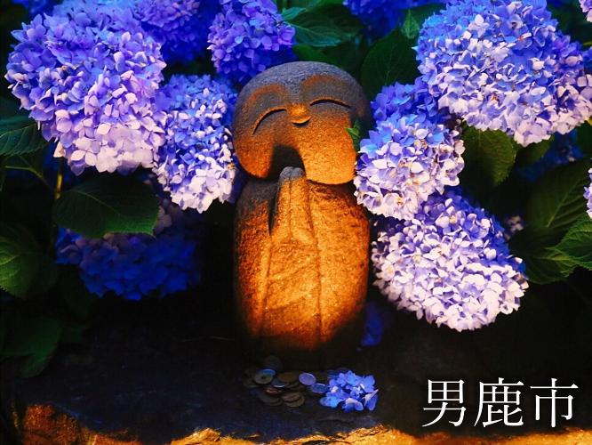 観光地　雲昌寺　日本の絶景編2017 ベスト絶景 通称「あじさい寺」。ここでしか見ることができない風景です。（見頃：6月中頃〜7月上旬）