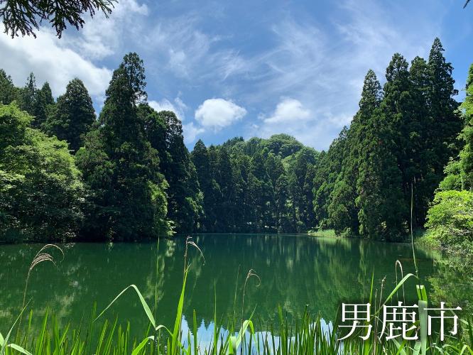 観光地　滝の頭