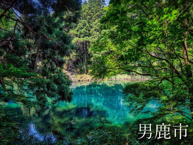観光地　滝の頭