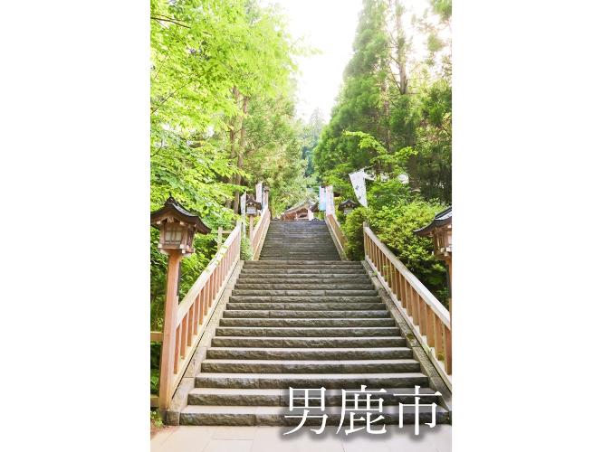 観光地　真山神社