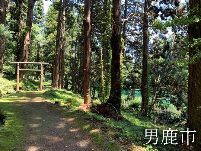 観光地　真山神社