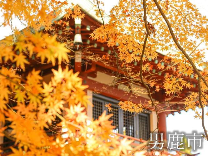 観光地　大龍寺　四季の移り変わりと共に景観が楽しめます。