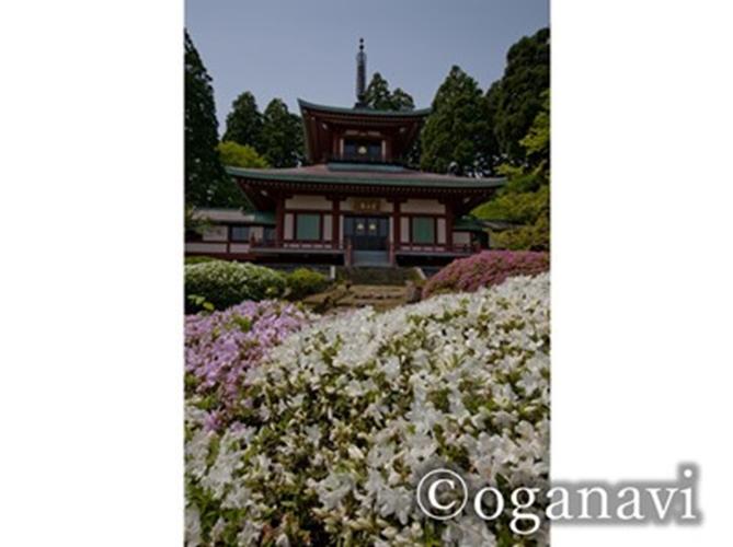 観光地　大龍寺