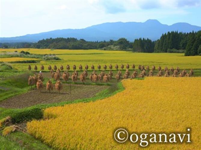 観光地　田園風景