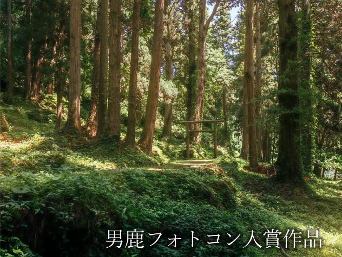 観光地【男鹿フォトコン入賞作品】　滝の頭　夏至の候、青々と茂る草木や緑に苔むした岩肌に囲まれ、生命の息吹を感じる「万緑」