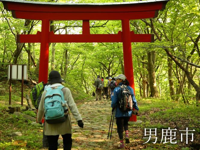 イベント　真山神社のお山かけ（トレッキング）秋頃