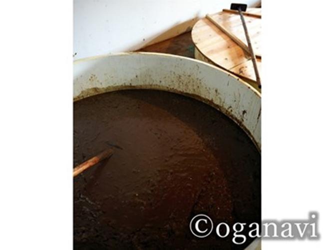 グルメ　しょっつるタンクの様子
