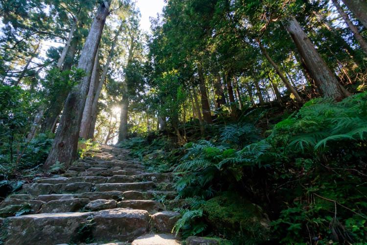 熊野古道◆熊野参詣道のうち、田辺から本宮、新宮、那智に至る山岳路が「中辺路」と呼ばれています。