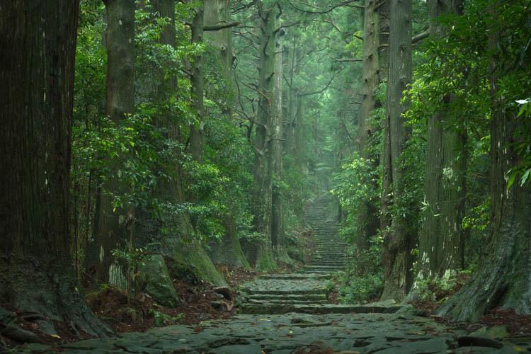熊野古道◆2004年に「紀伊山地の霊場と参詣道」としてユネスコの世界遺産に登録されました。