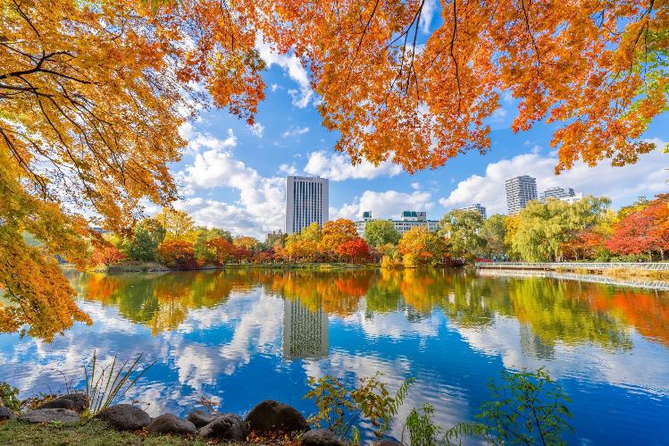 秋の中島公園は紅葉鑑賞にオススメ！
