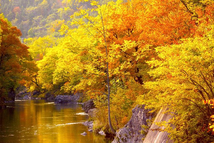 【秋の『錦仙峡』　紅葉が川面を真っ赤に染め上げる】