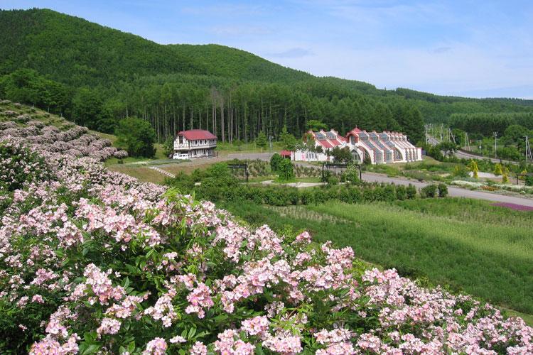 【春・ハーブガーデン】ハーブガーデン全景。ハーブガーデンは当ホテルから徒歩３分の距離にあります♪