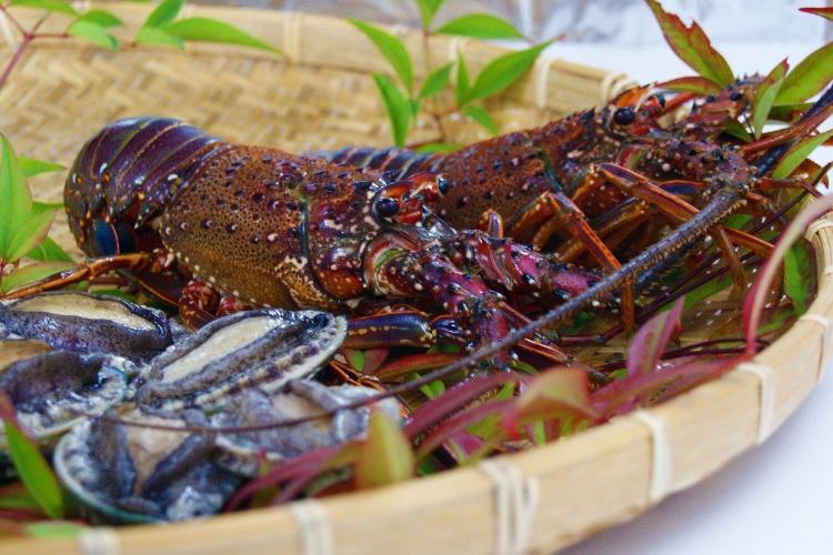 【厳選高級食材を堪能】海の恵みイセエビとアワビ