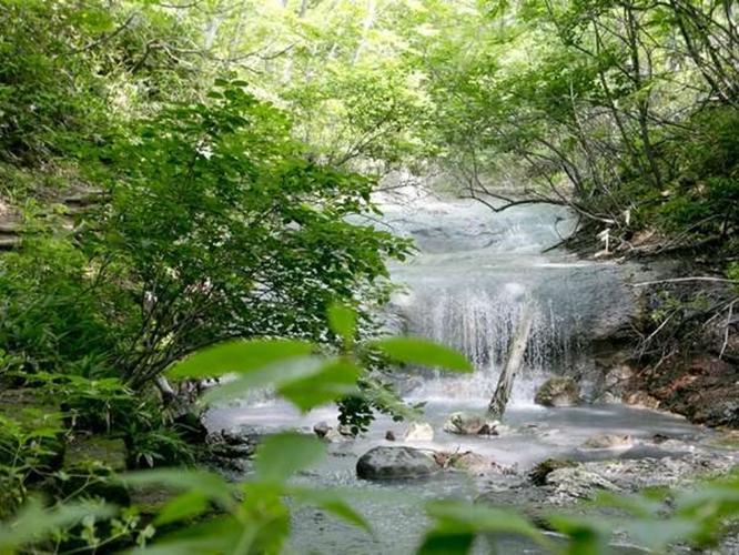 【天然足湯】大湯沼から溢れ出した温泉の川。宿から徒歩で約10分。