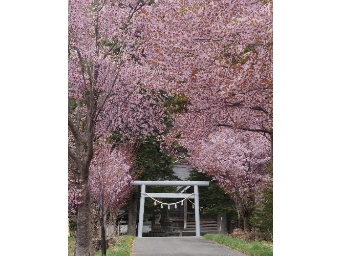 真狩神社