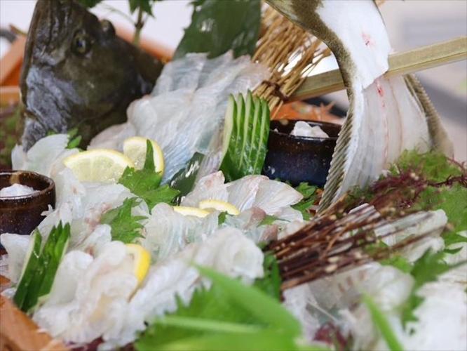 笠戸ひらめ　下松市の笠戸島で養殖されている「笠戸ひらめ」注目度が急上昇中のブランドヒラメです　写真提供：山口県観光連盟