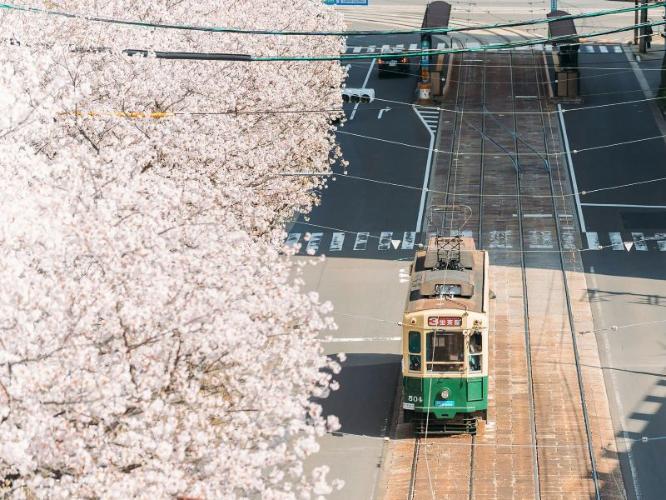 路面電車