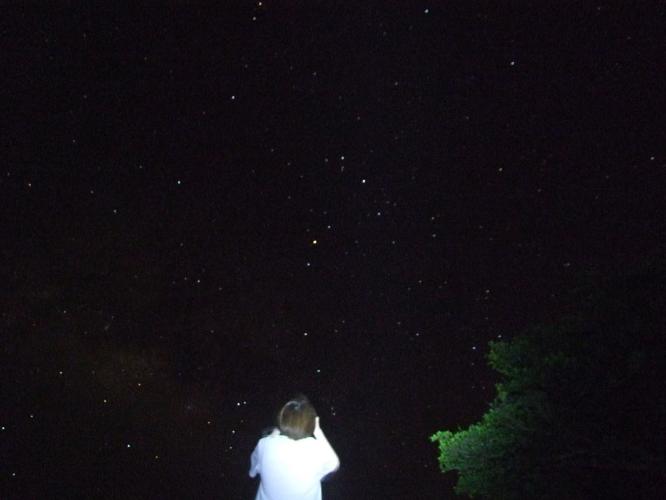 【夜空ツアー】満天の星空の中流れ星！