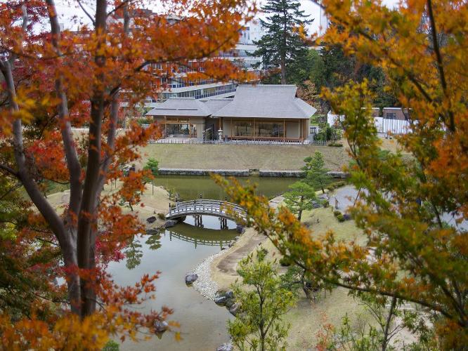 ■金沢城公園｜秋の紅葉が感動的な美しさで光に照らされた幻想的な空間[写真提供:金沢市]