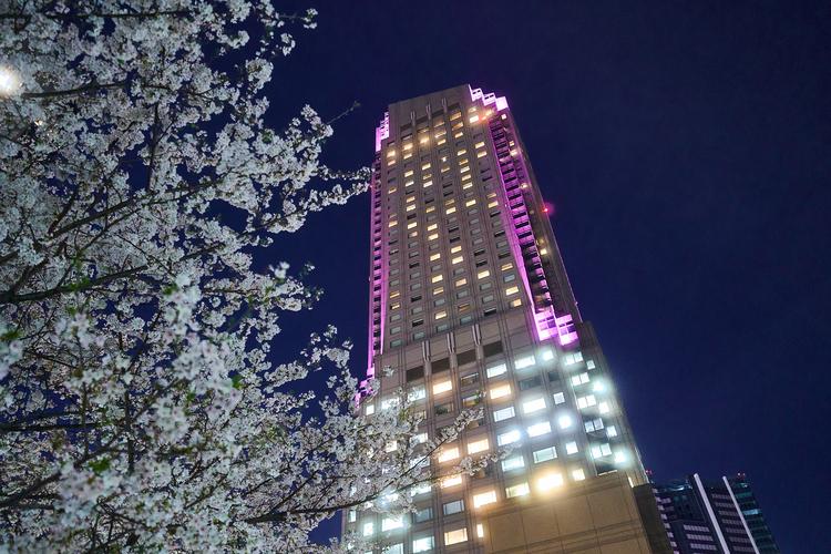 ホテル外観　桜（夜）