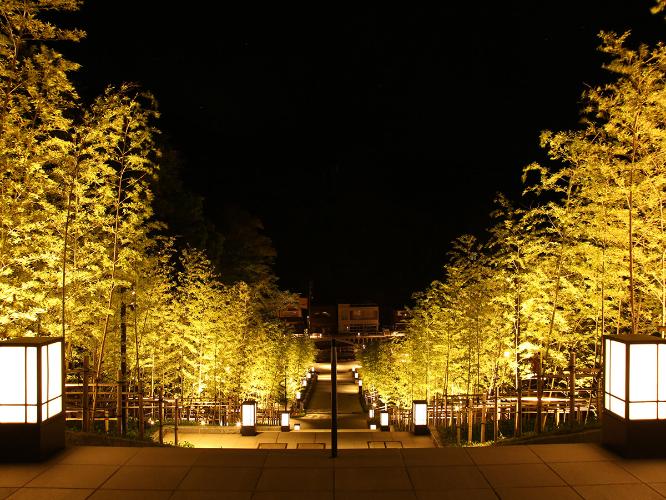 ■長門湯本温泉街ライトアップ